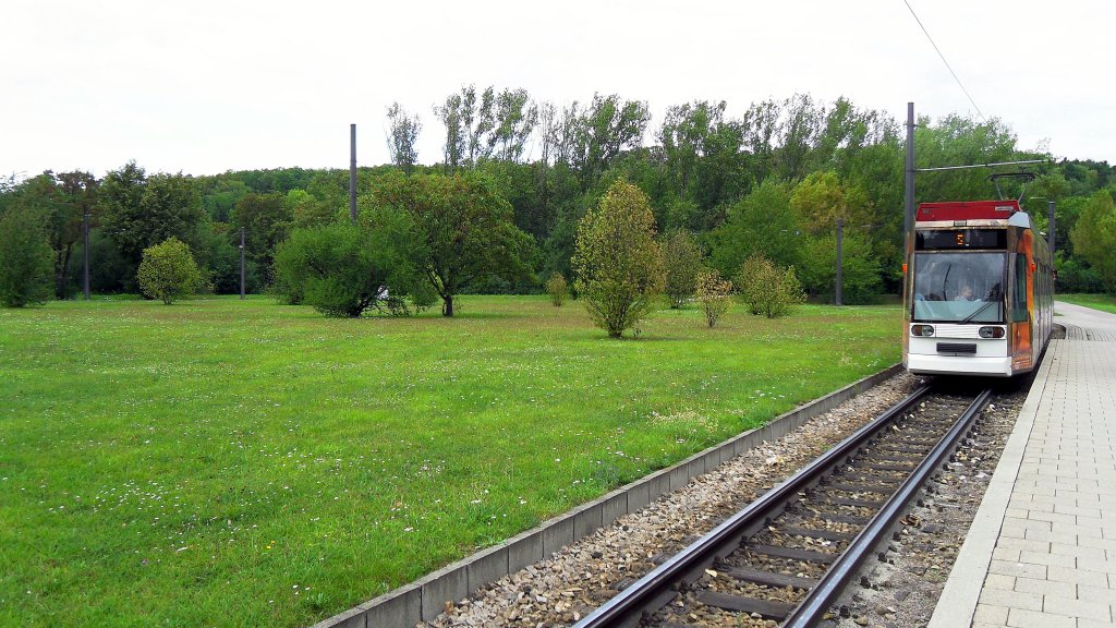 Niederflurbahn der Linie 5 in der Wendeschleife Zoopark